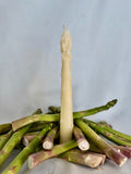 briksn asparagus beeswax taper candles, set of 2, in natural ivory