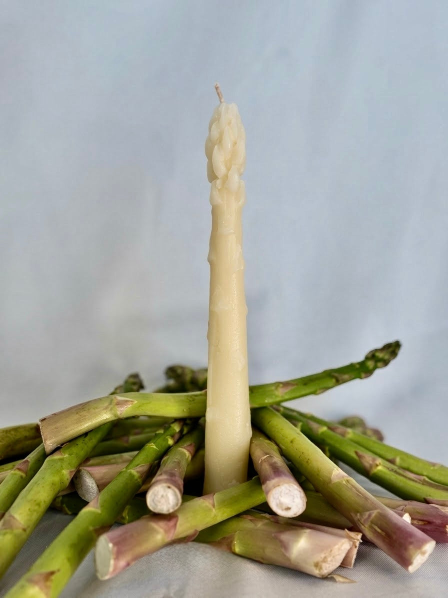 briksn asparagus beeswax taper candles, set of 2, in natural ivory