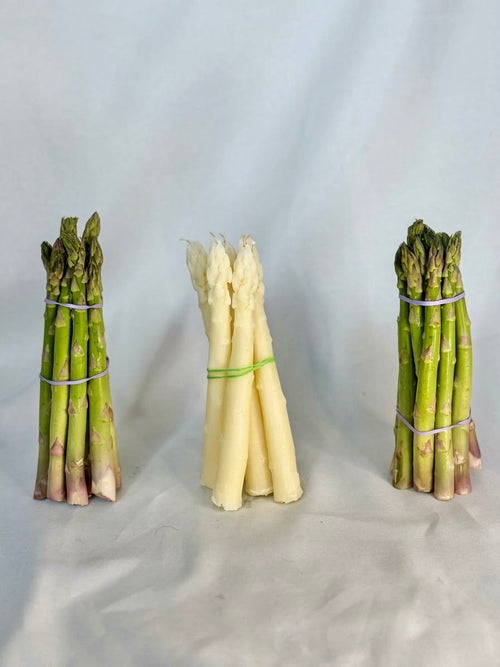 briksn asparagus beeswax taper candles, set of 2, in natural ivory