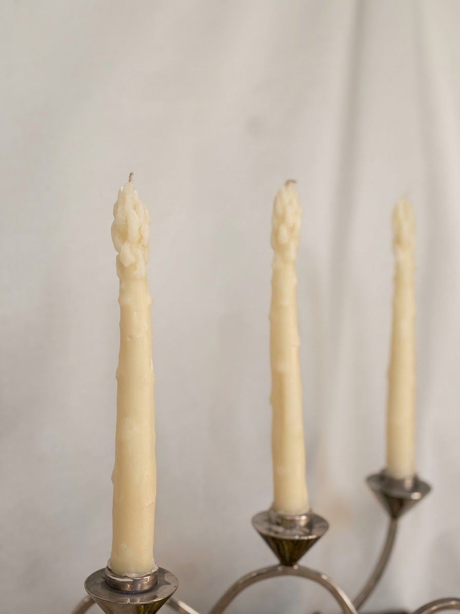 briksn asparagus beeswax taper candles, set of 2, in natural ivory