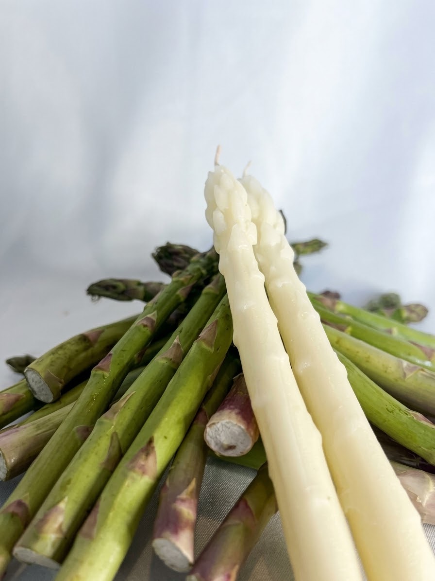 briksn asparagus beeswax taper candles, set of 2, in natural ivory