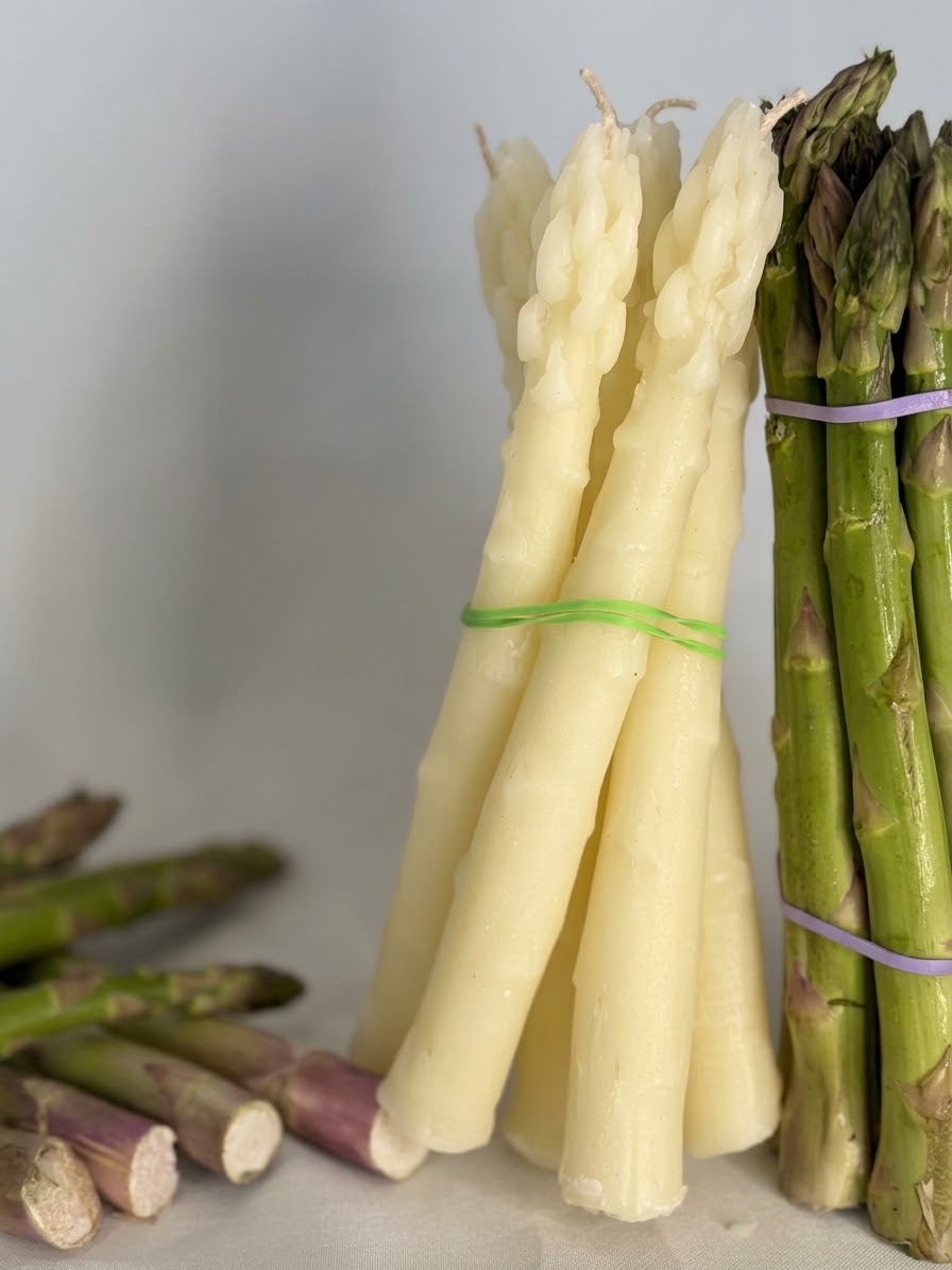 briksn asparagus beeswax taper candles, set of 2, in natural ivory