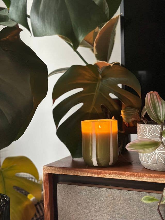 Atina Candle & Glassware - Fresh Olive & Lemon