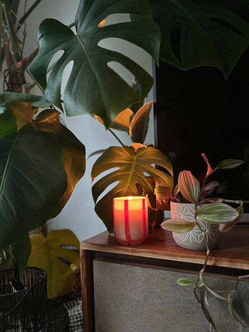 Atina Candle & Glassware - Orange Blossom & Basil